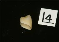 2014122522164.jpg
