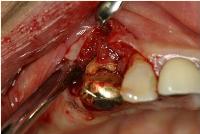 2014122694418.jpg
