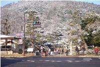 2014123095259.jpg