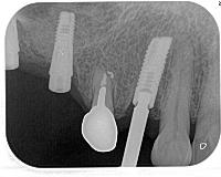 20151481057.jpg