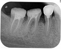 20151592125.jpg